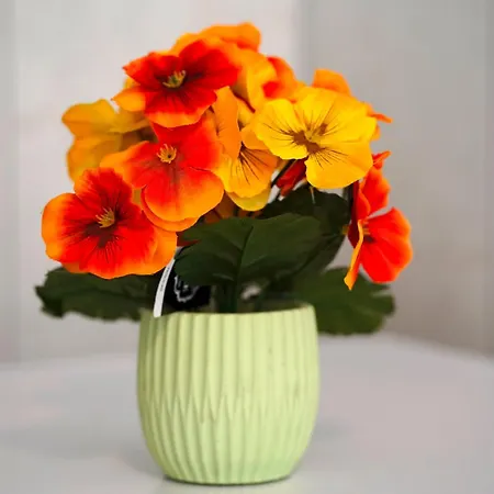 Apartment Luxus Maisonette In Mit Grosser Dachterrasse - Wehome Premium *