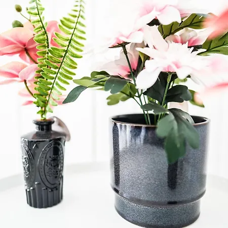 Apartment Luxus Maisonette In Mit Grosser Dachterrasse - Wehome Premium Kaiserslautern