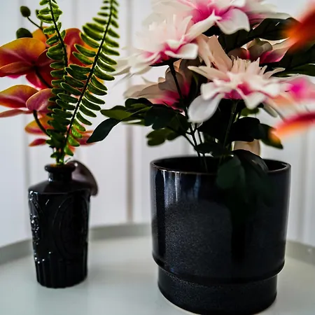 Apartment Luxus Maisonette In Mit Grosser Dachterrasse - Wehome Premium Kaiserslautern