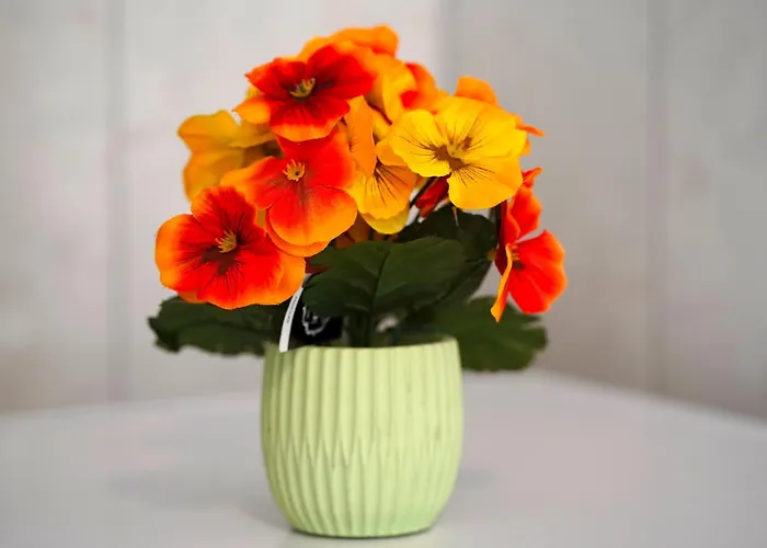 公寓 Luxus Maisonette In Mit Grosser Dachterrasse - Wehome Premium *