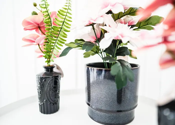 公寓 Luxus Maisonette In Mit Grosser Dachterrasse - Wehome Premium 凯撒斯劳滕