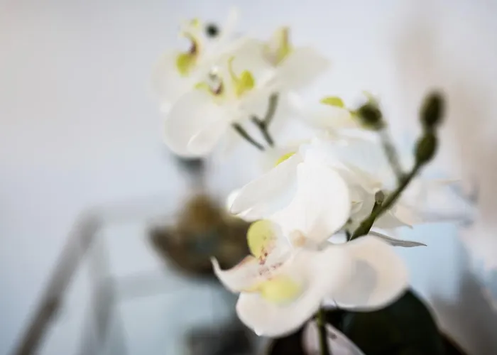 Luxus Maisonette In Mit Grosser Dachterrasse - Wehome Premium 公寓