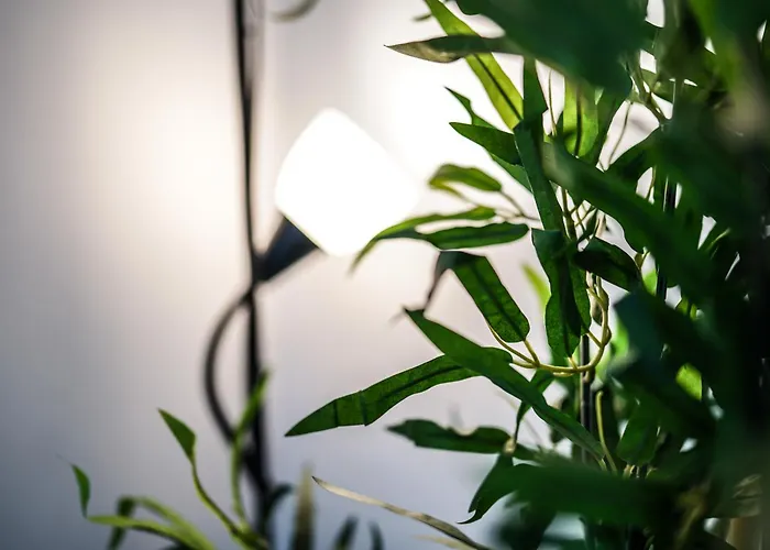 Luxus Maisonette In Mit Grosser Dachterrasse - Wehome Premium *