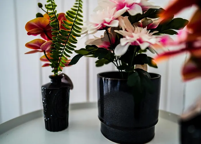 公寓 Luxus Maisonette In Mit Grosser Dachterrasse - Wehome Premium 凯撒斯劳滕